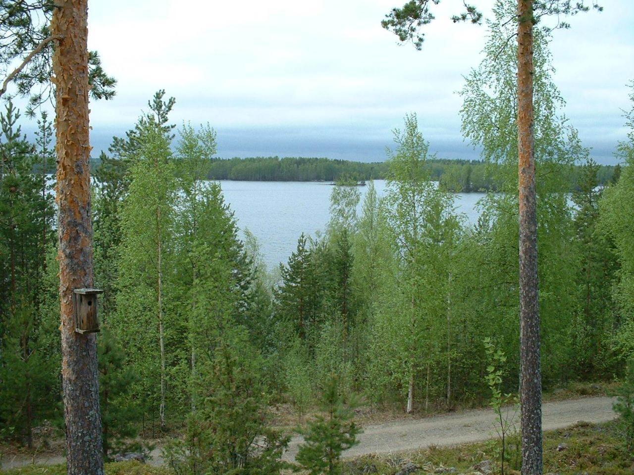 Pitkaeniemen Lomamoekit Villa Joutsa Exterior foto